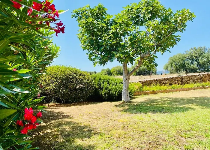 Appartement Marie Diane - Duplex Cote E Propriano (Corsica)